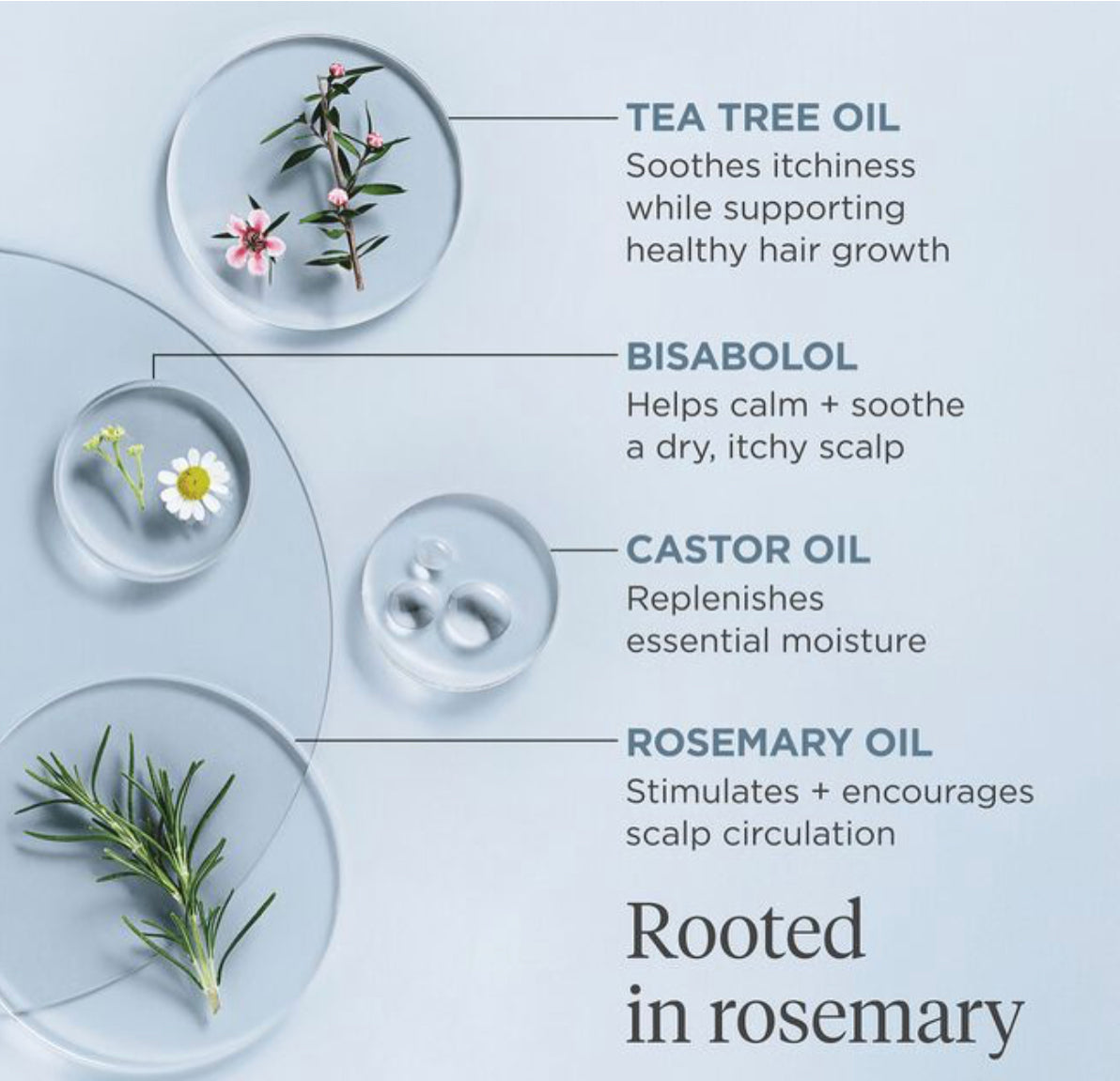 Briogeo Rosemary Scalp Revival